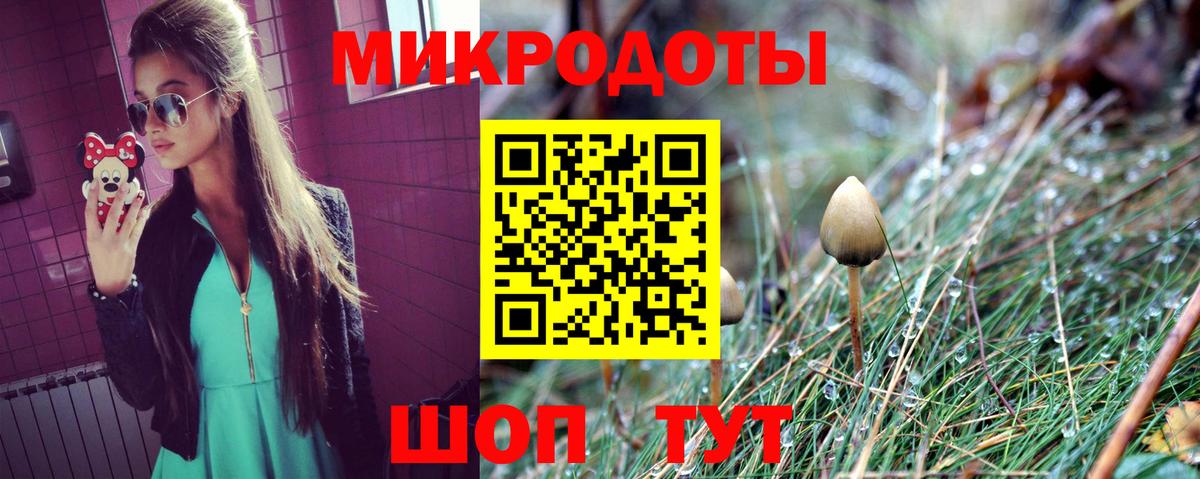 Галлюциногенные грибы мицелий  Вход с VPN  купить наркотики сайты  Галлюциногенные грибы Psilocybine cubensis  Кингисепп 