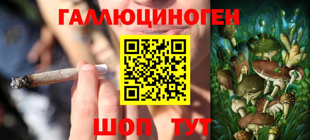 Псилоцибиновые грибы ЛСД Кингисепп
